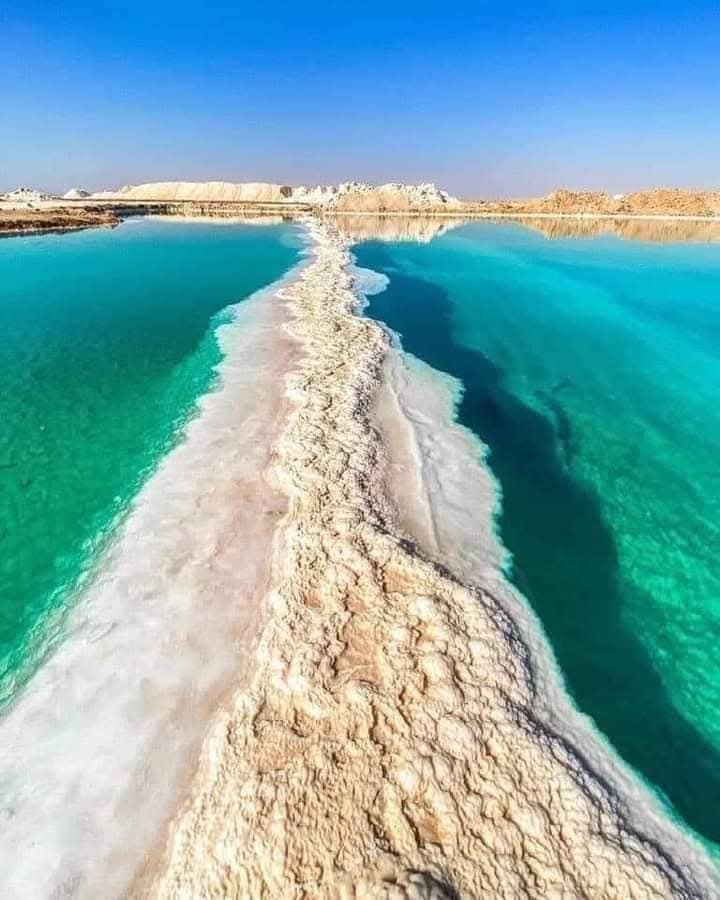 FB_IMG_1769114776260