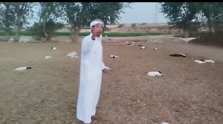 Screenshot_٢٠٢٦٠١٢٣_٢٣٤٤٤٦_Gallery