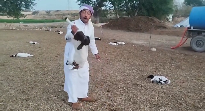 Screenshot_٢٠٢٦٠١٢٣_٢٣٤٤٥٢_Gallery