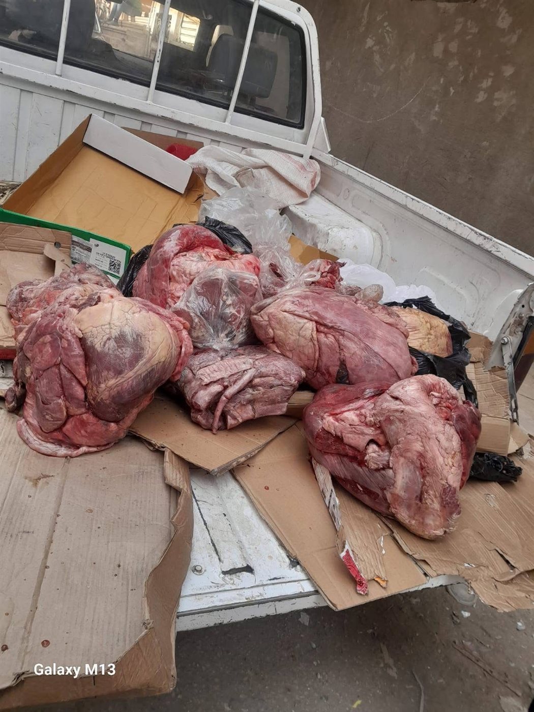 ضبط لحوم فاسدة بأحد ثلاجات الأقصر