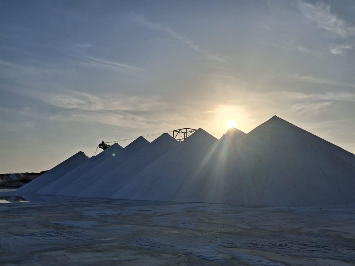 شركة النصر للملاحات