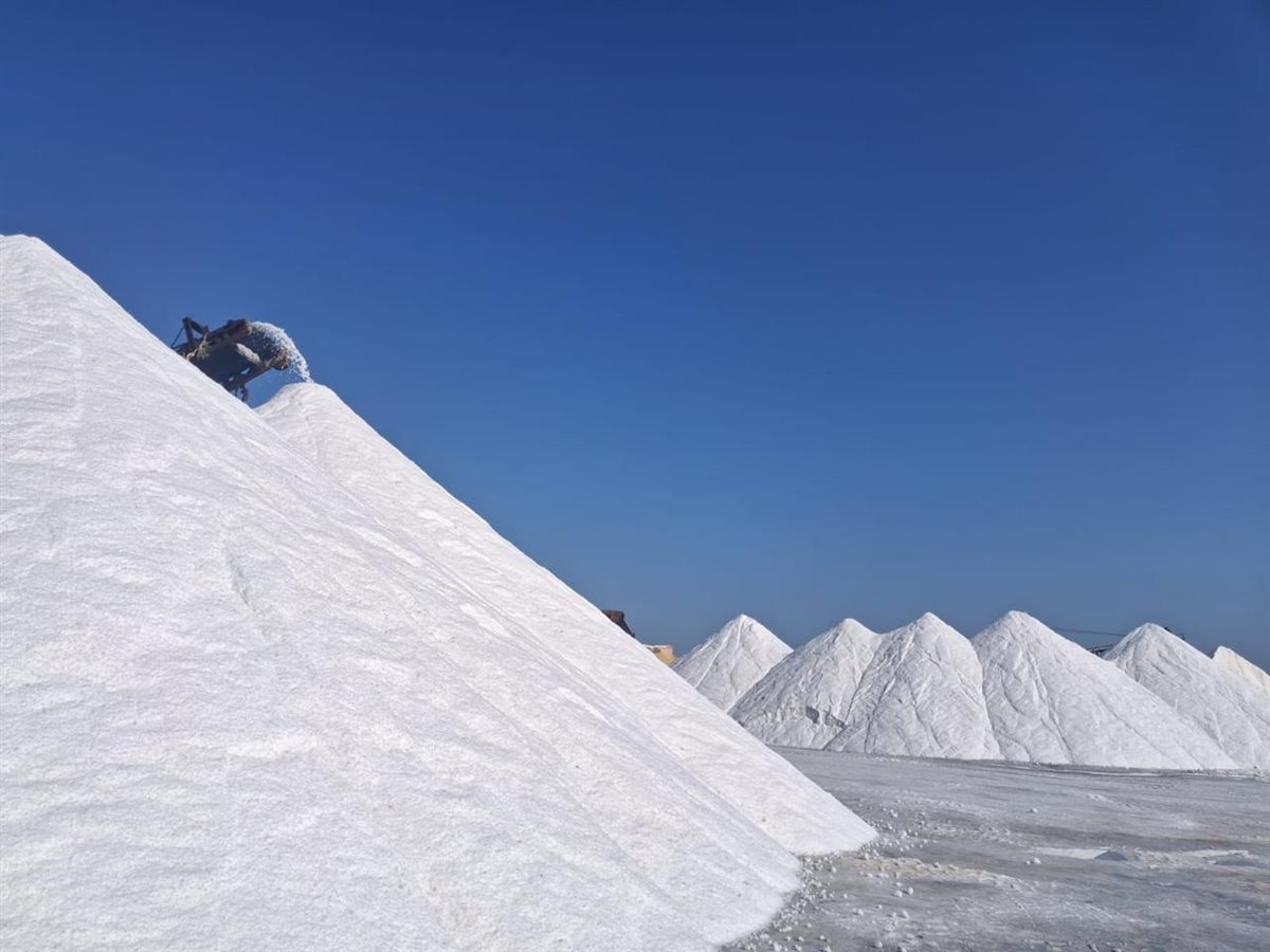 شركة النصر للملاحات