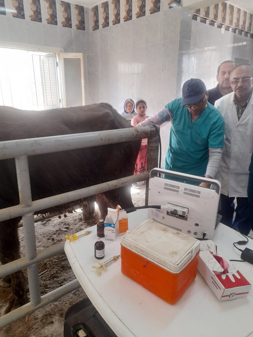 الزراعة تطلق قوافل بيطرية مجانية في قرى سوهاج