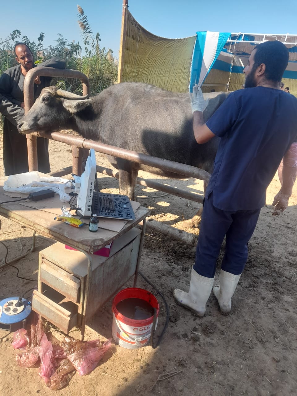 الزراعة تطلق قوافل بيطرية مجانية في قرى سوهاج