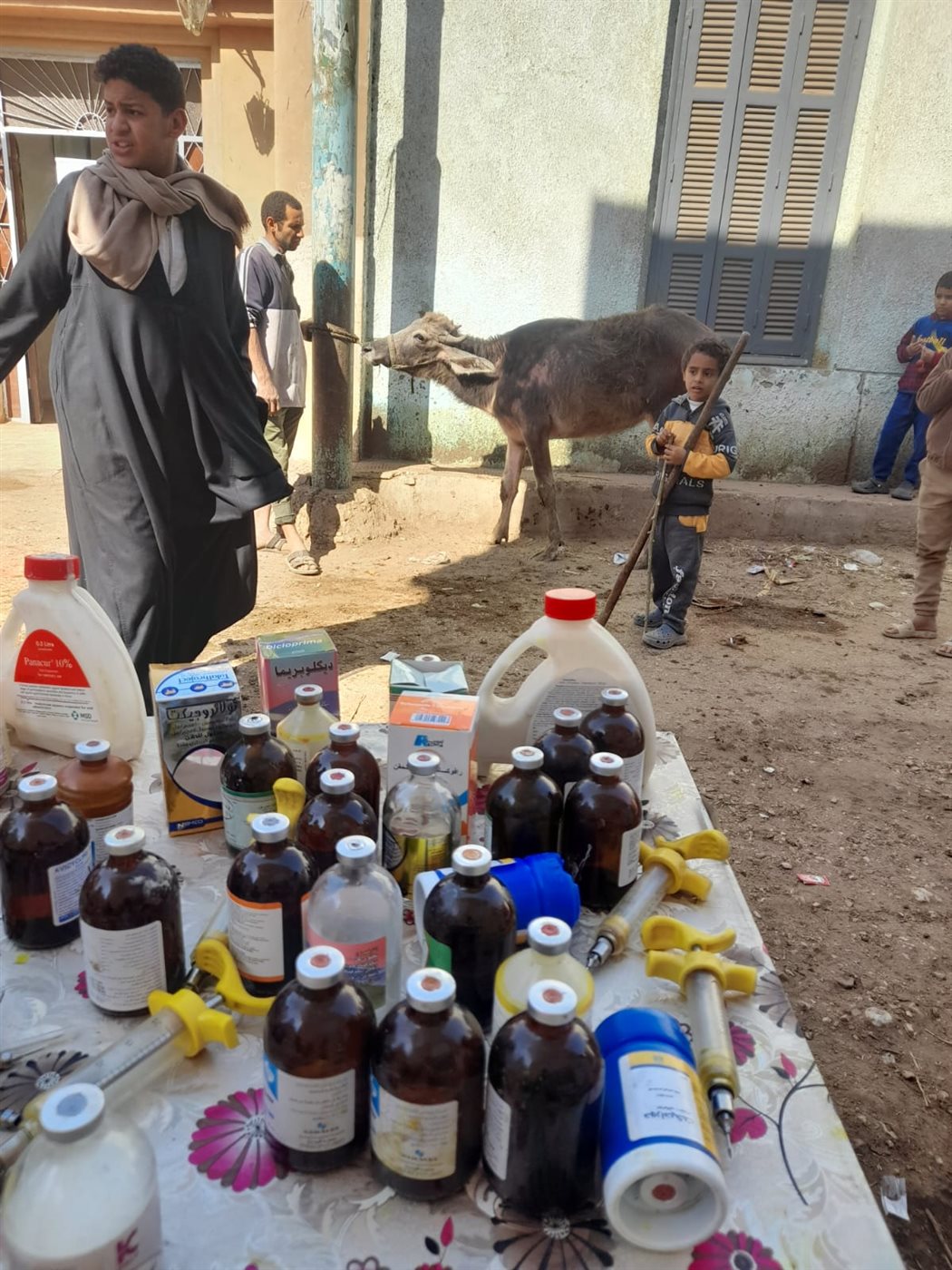 الزراعة تطلق قوافل بيطرية مجانية في قرى سوهاج