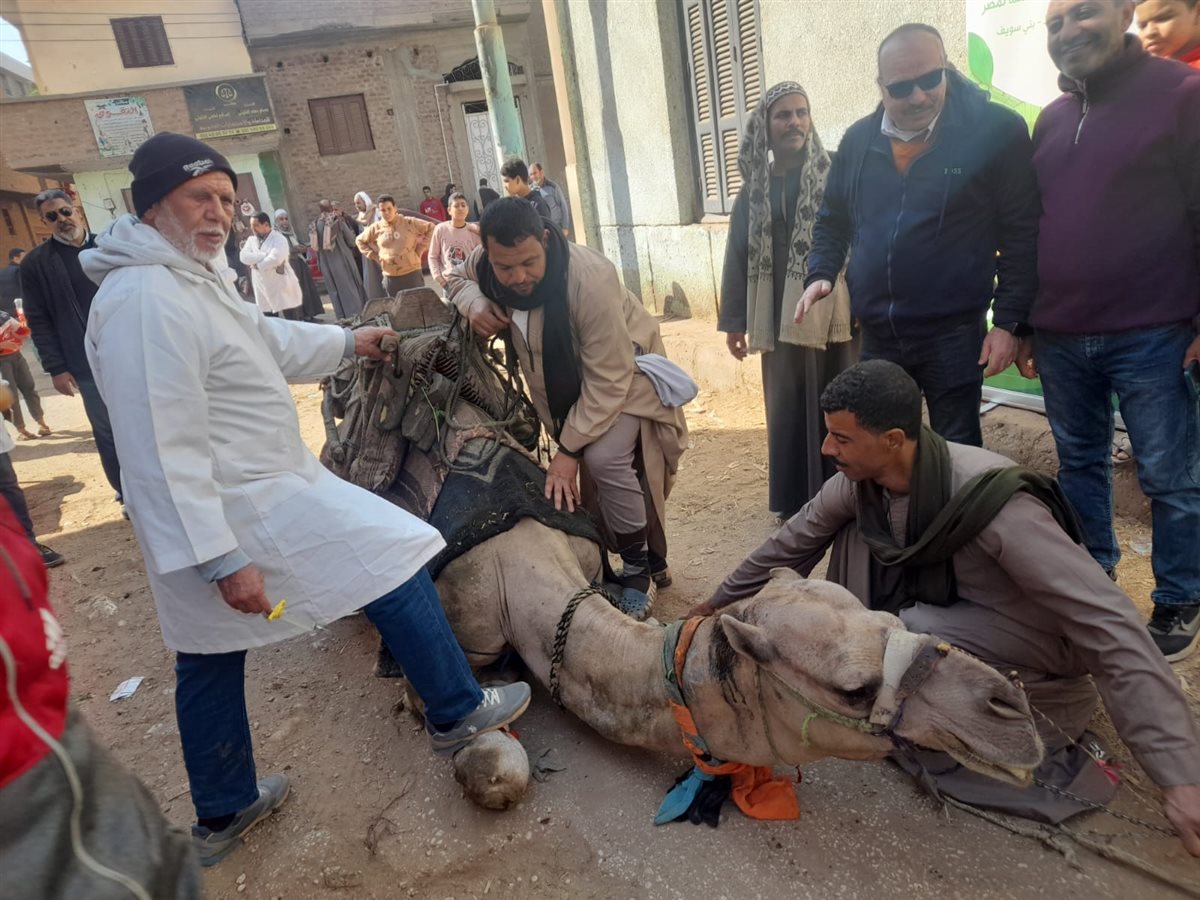 الزراعة تطلق قوافل بيطرية مجانية في قرى سوهاج