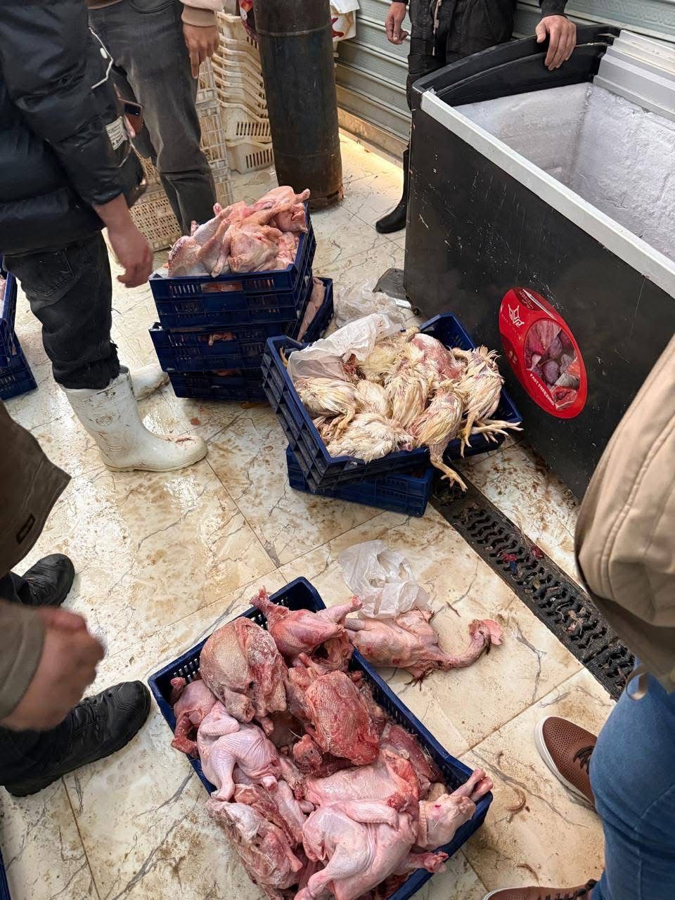 محافظة الجيزة تضبط دواجن فاسدة قبل بيعها للمواطنين بالهرم