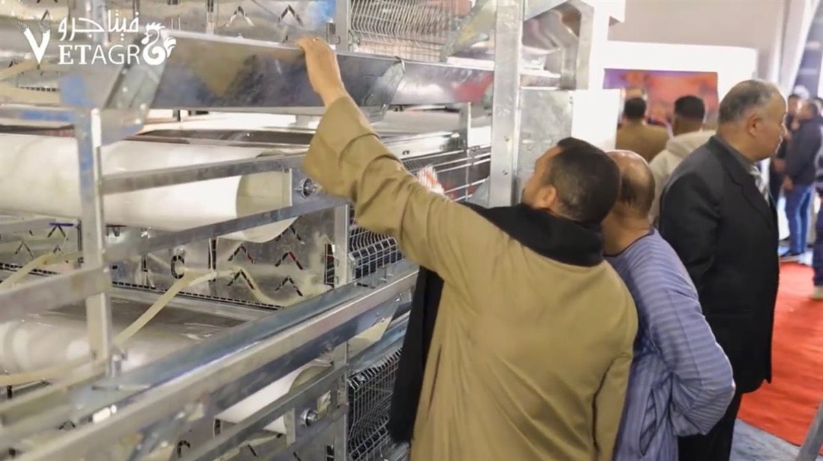 معرض لدعم قطاع الثروة الحيوانية والداجنة بالأقصر