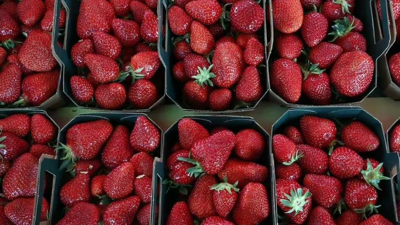 طريقة تخزين الفراولة للعصير