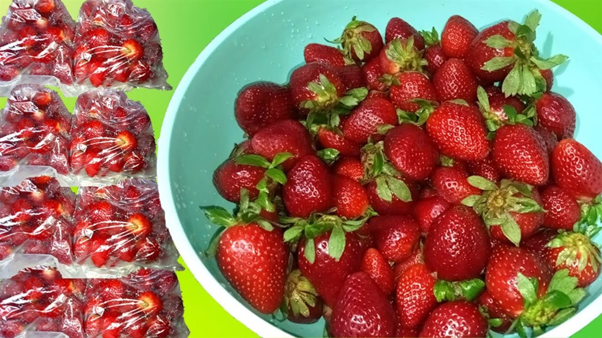 طريقة تخزين الفراولة للعصير