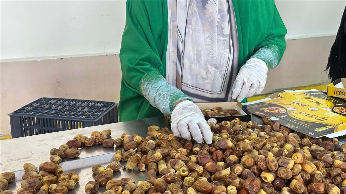 مصنع تمور التكافل