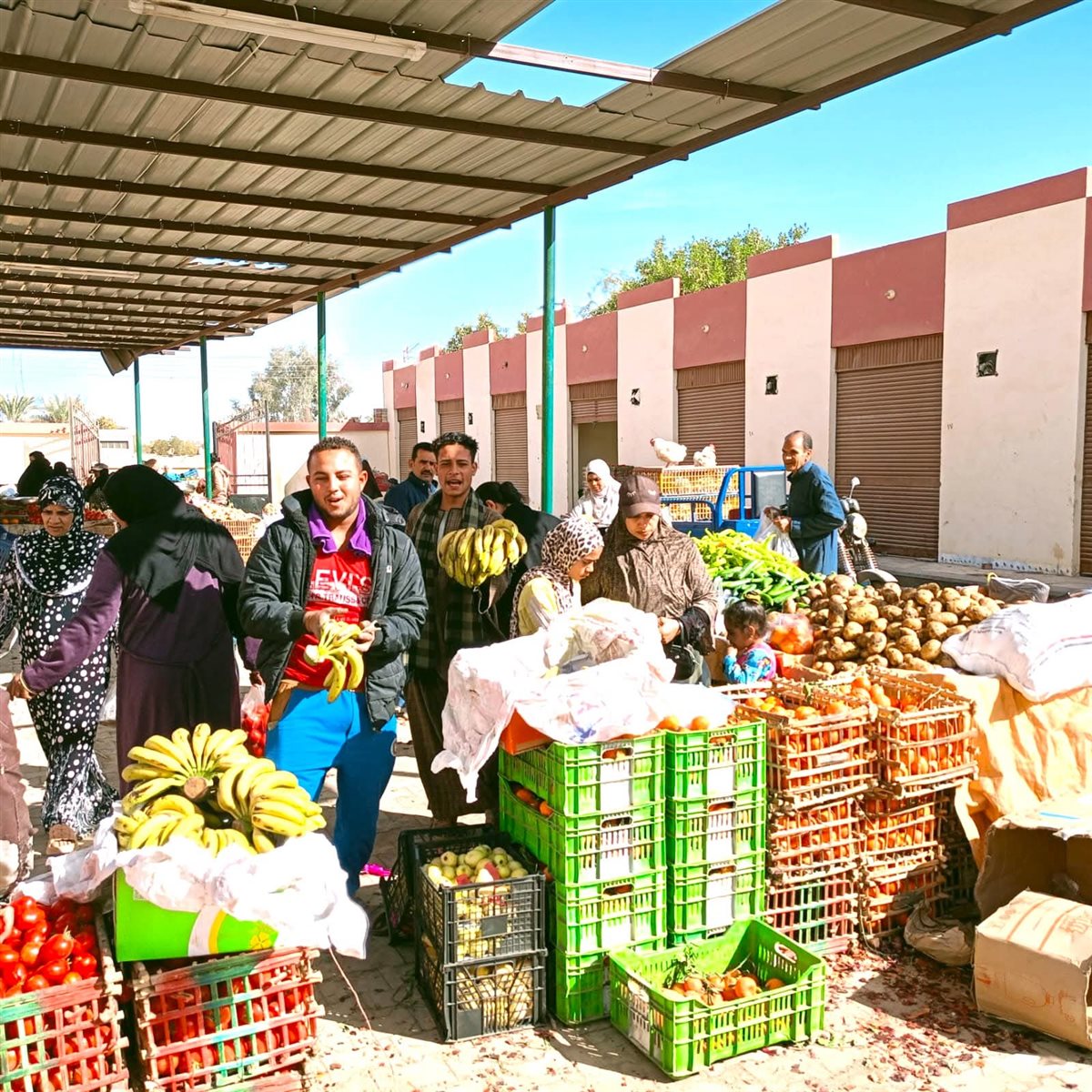 منافذ بيع سلع بالوادى الجديد