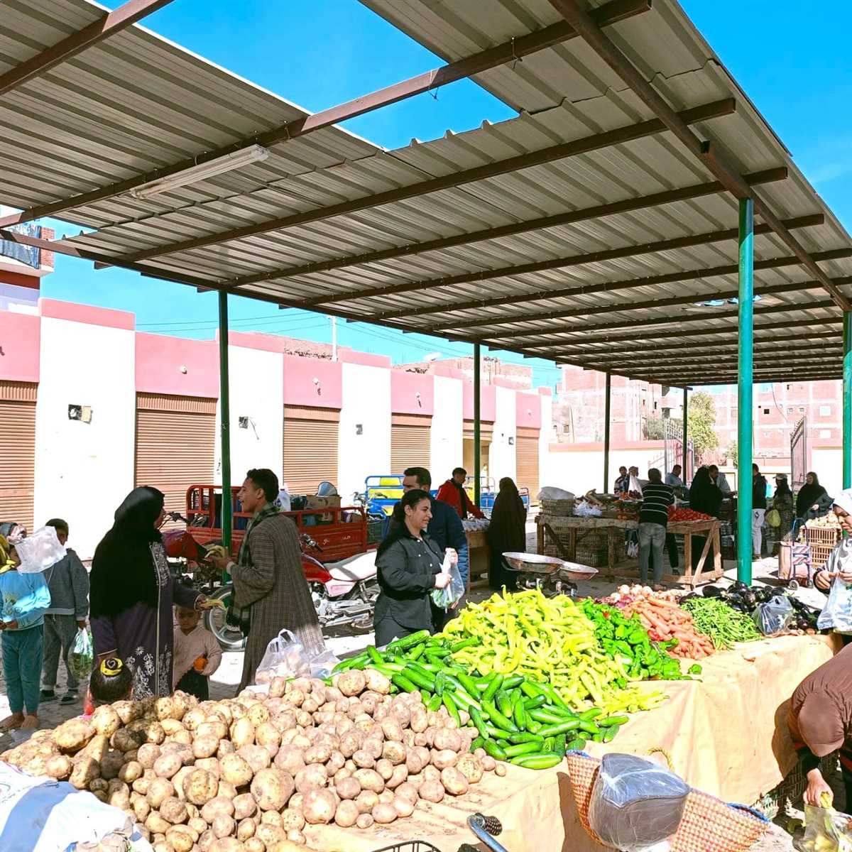 منافذ بيع سلع بالوادى الجديد