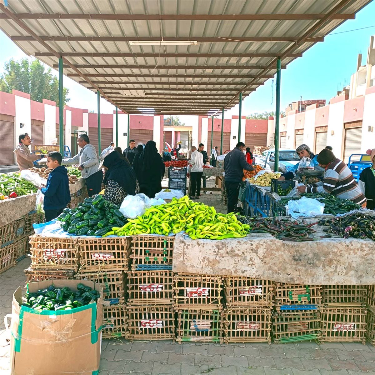 منافذ بيع سلع بالوادى الجديد