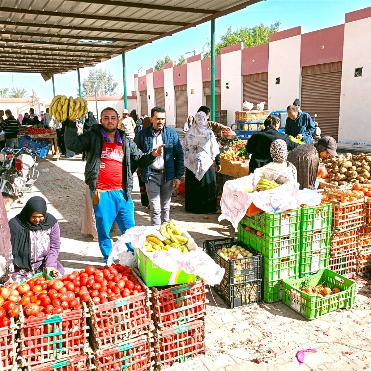 منافذ بيع سلع بالوادى الجديد