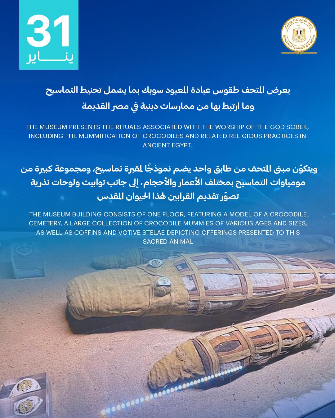 مرور 14 عامًا على افتتاح متحف التمساح بكوم أمبو&nbsp;