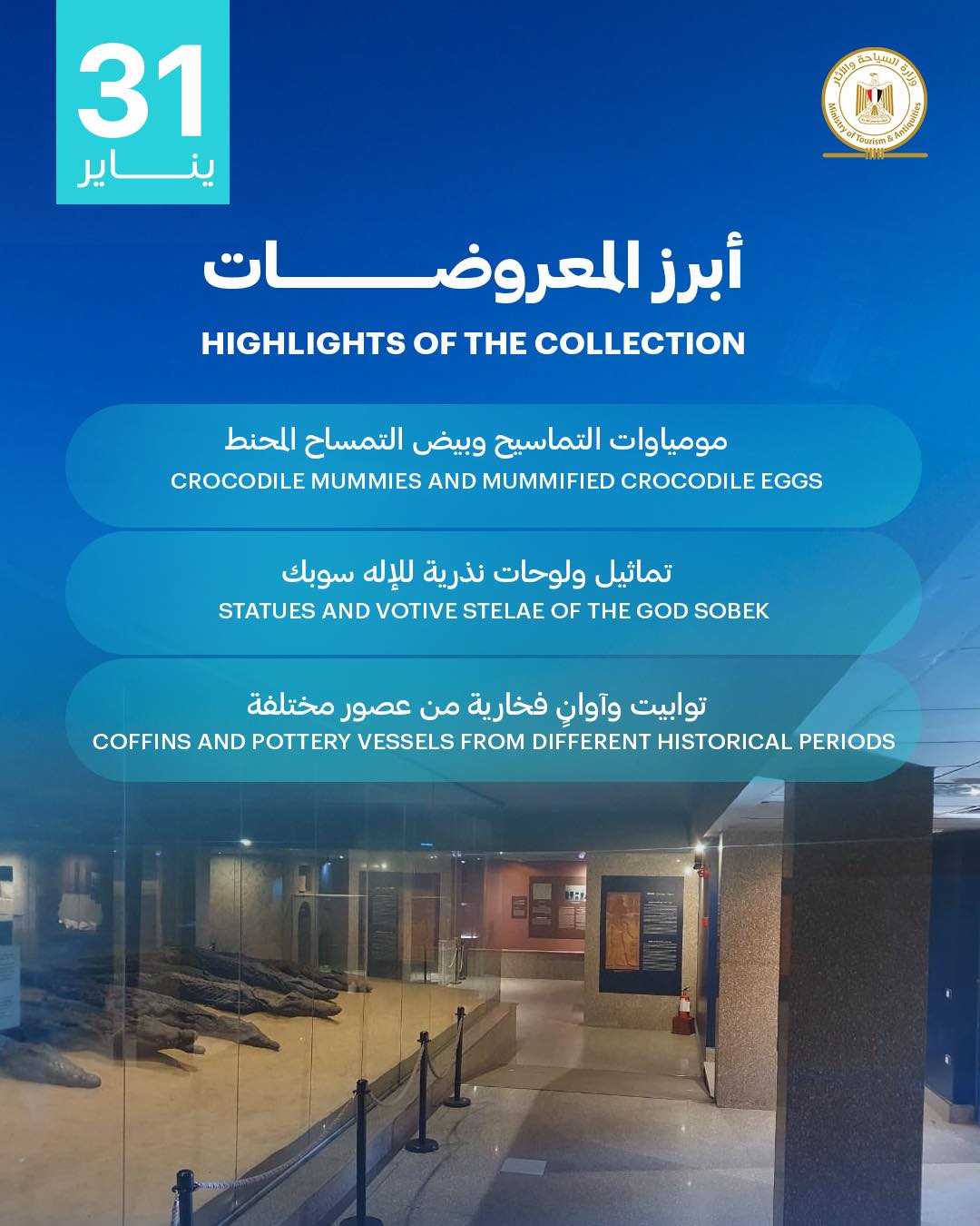 مرور 14 عامًا على افتتاح متحف التمساح بكوم أمبو&nbsp;