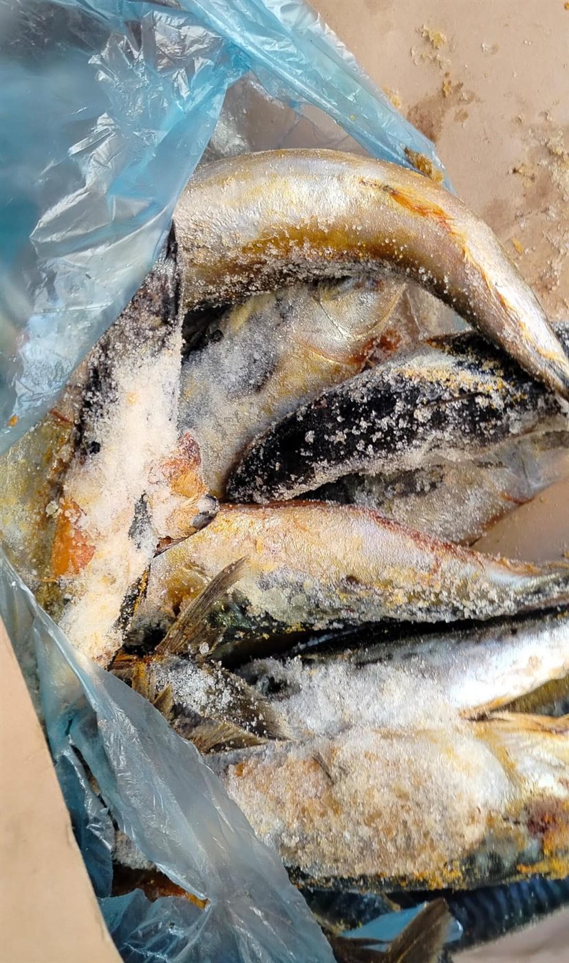 جانب من الحملة التفتيشية