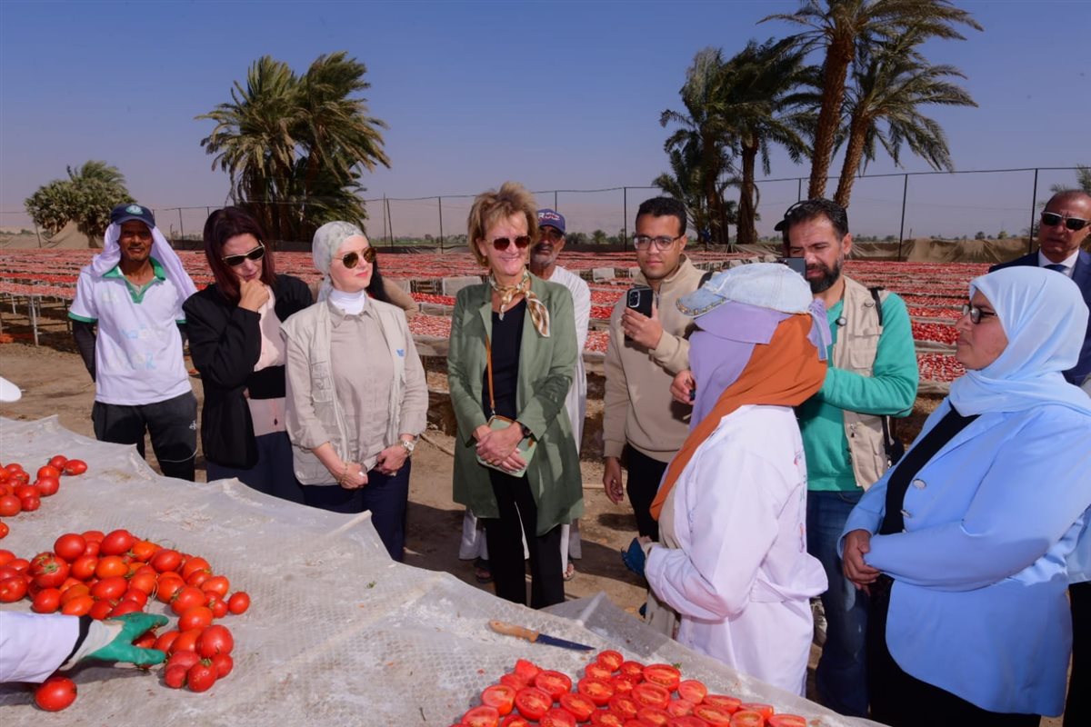 سفيرة الاتحاد الأوروبي ومديرة الغذاء العالمى بتجفيف الطماطم&nbsp;