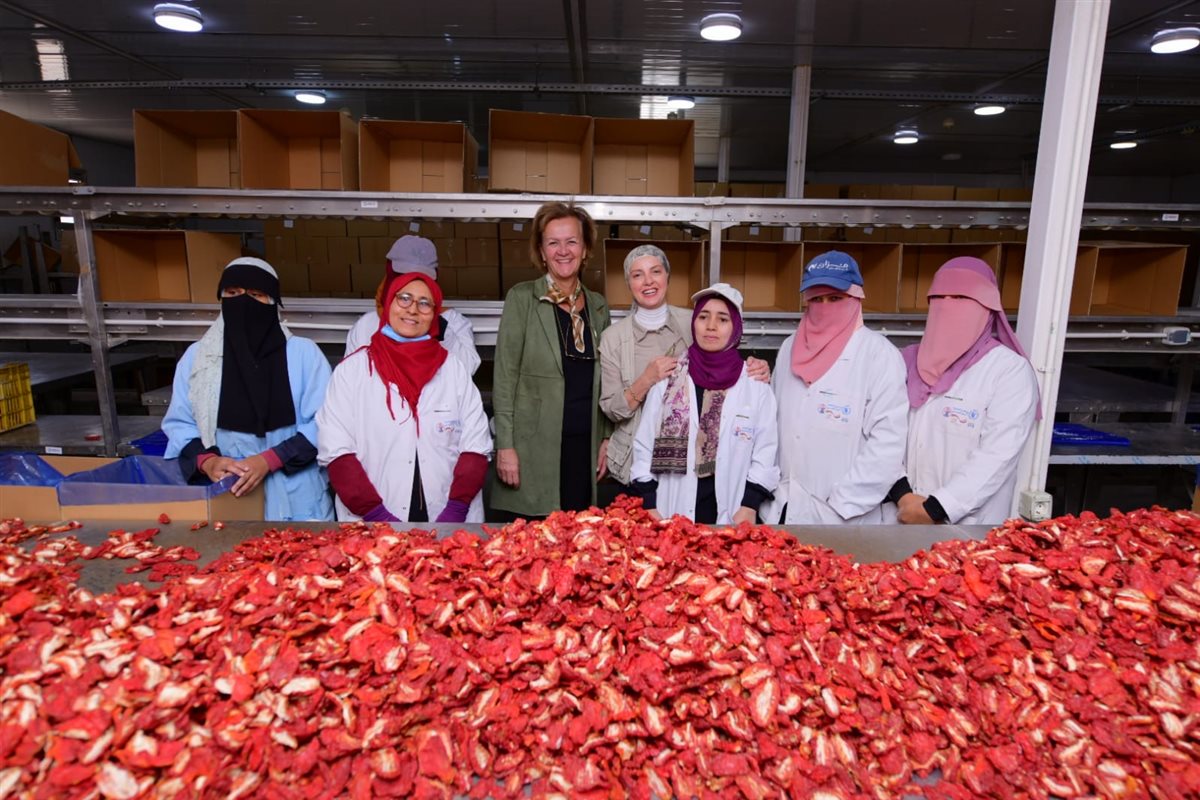 سفيرة الاتحاد الأوروبي ومديرة الغذاء العالمى بتجفيف الطماطم&nbsp;