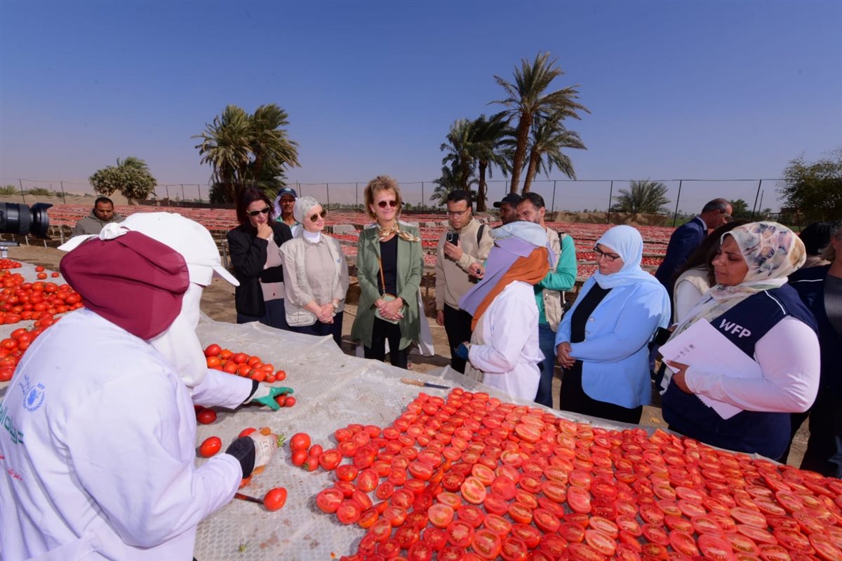 سفيرة الاتحاد الأوروبي ومديرة الغذاء العالمى بتجفيف الطماطم&nbsp;