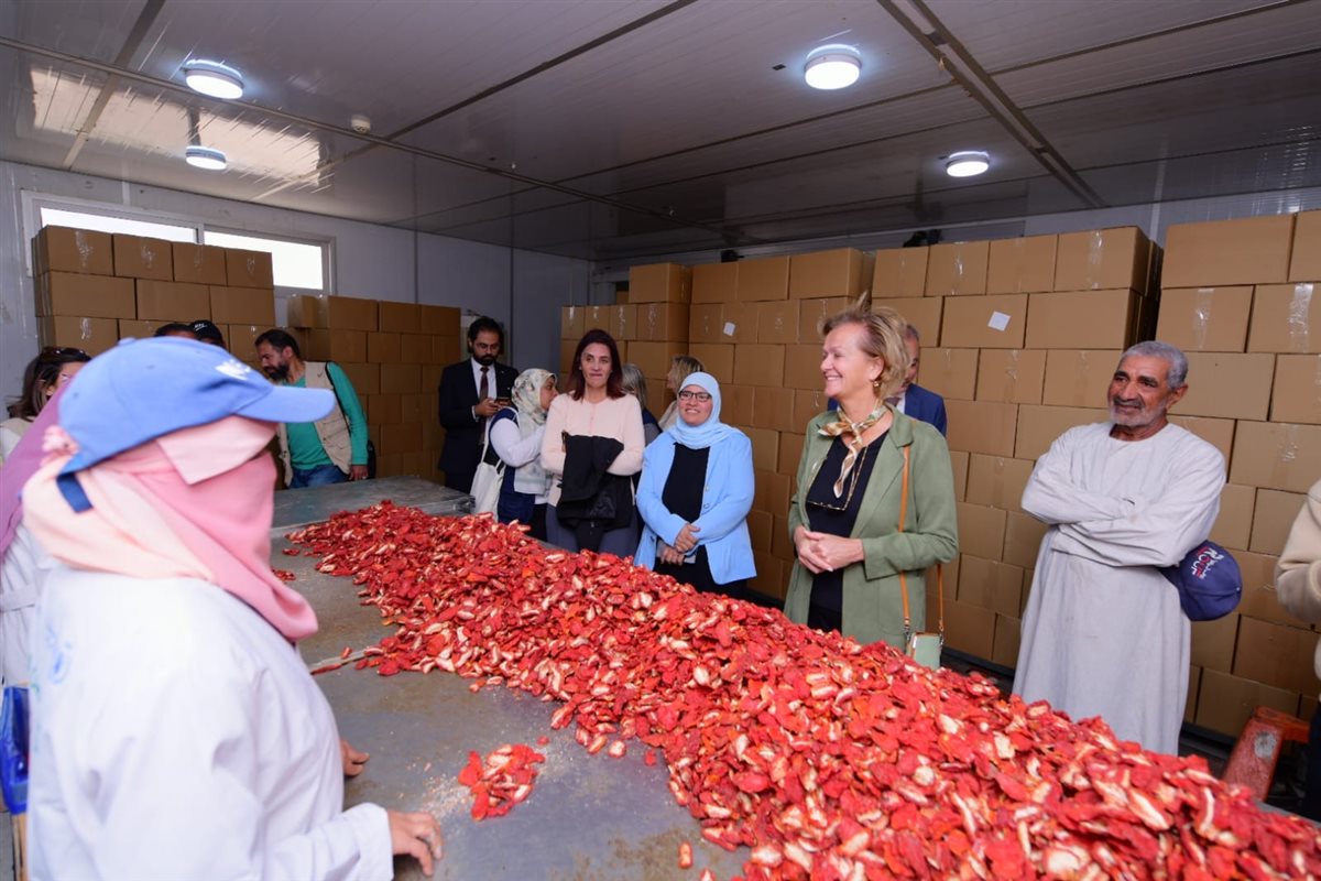 سفيرة الاتحاد الأوروبي ومديرة الغذاء العالمى بتجفيف الطماطم&nbsp;