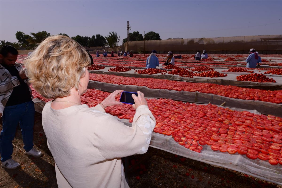 سفيرة الاتحاد الأوروبي ومديرة الغذاء العالمى بتجفيف الطماطم&nbsp;