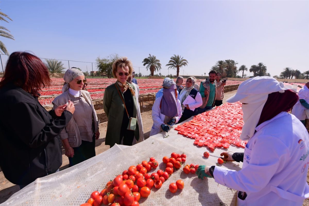 سفيرة الاتحاد الأوروبي ومديرة الغذاء العالمى بتجفيف الطماطم&nbsp;