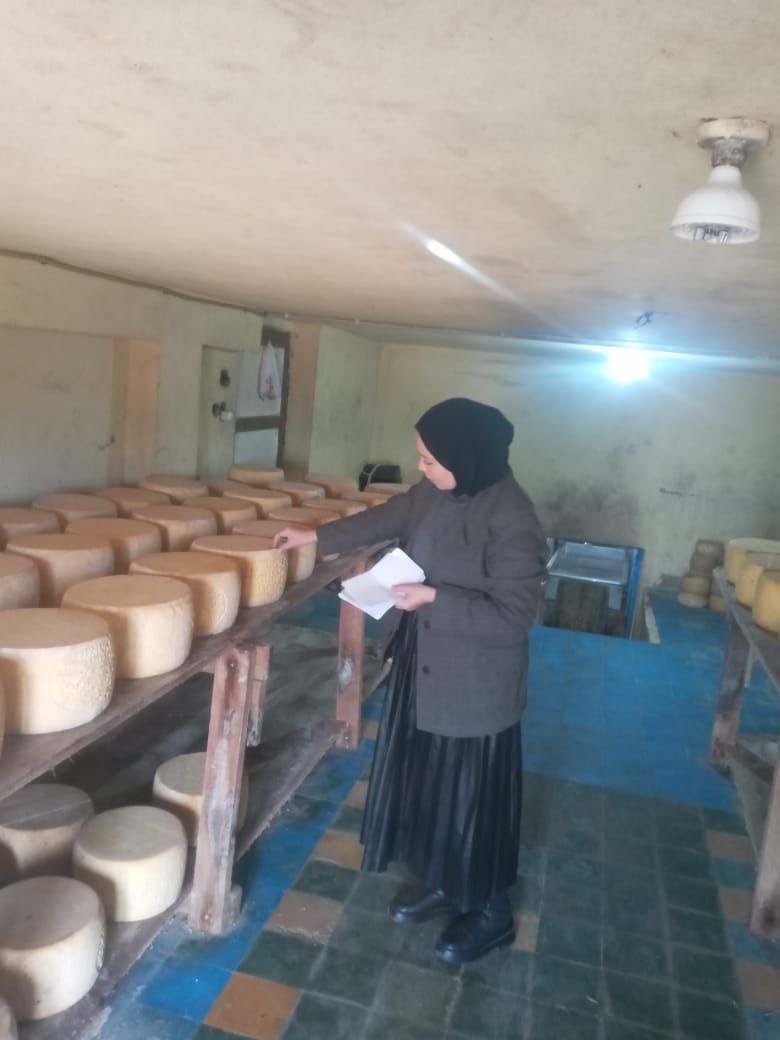 ضبط 3 أطنان جبن رومي وملح ومكرونة مجهولة المصدر في الدقهلية&nbsp;