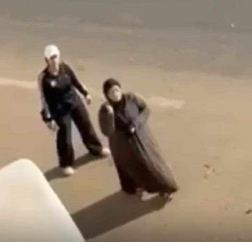 فيديو محاولة التعدي بالضرب على سيدة من زوجة شقيقها في طنطا&nbsp;