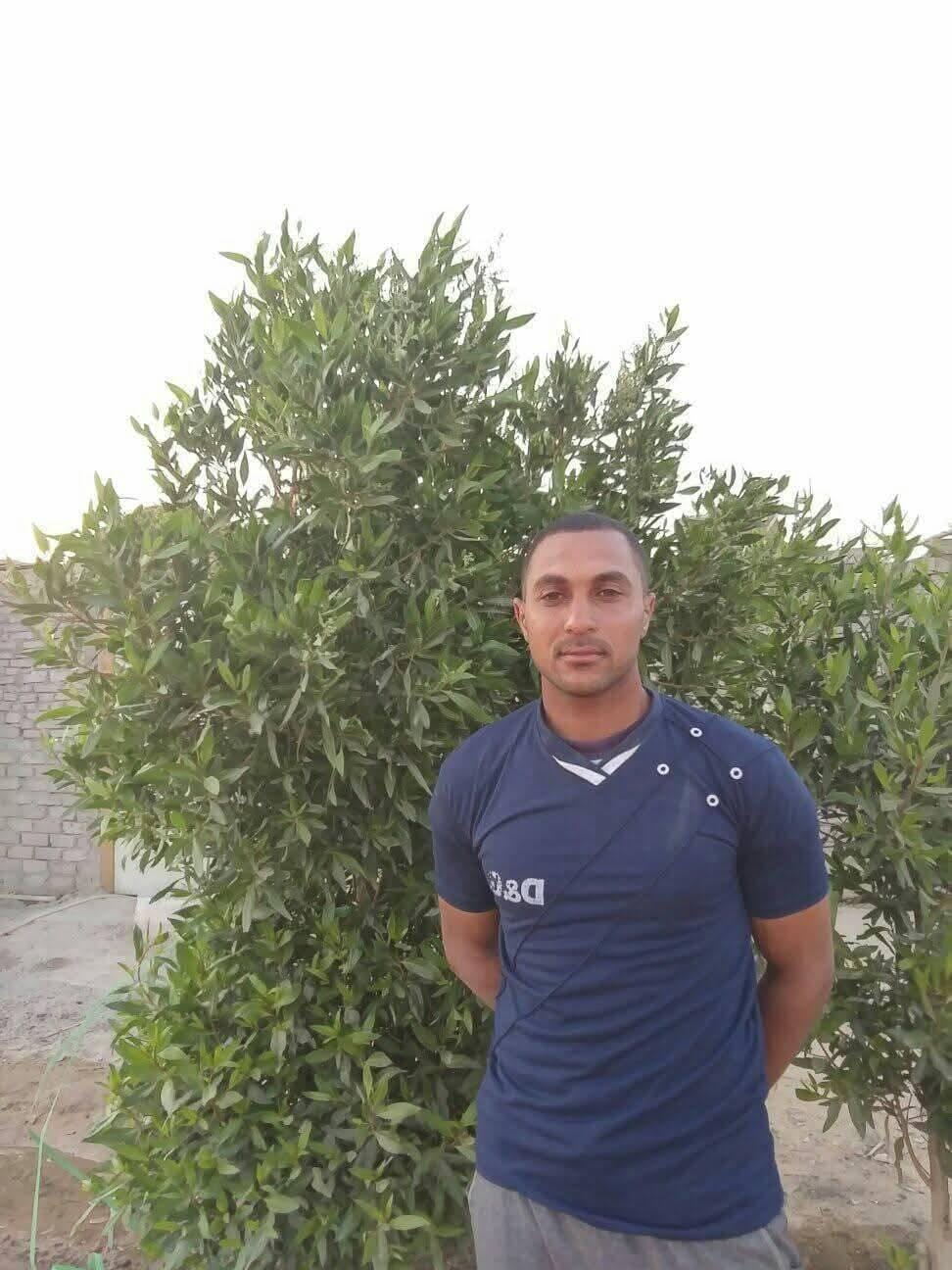 ضحايا حادث مطروح&nbsp;