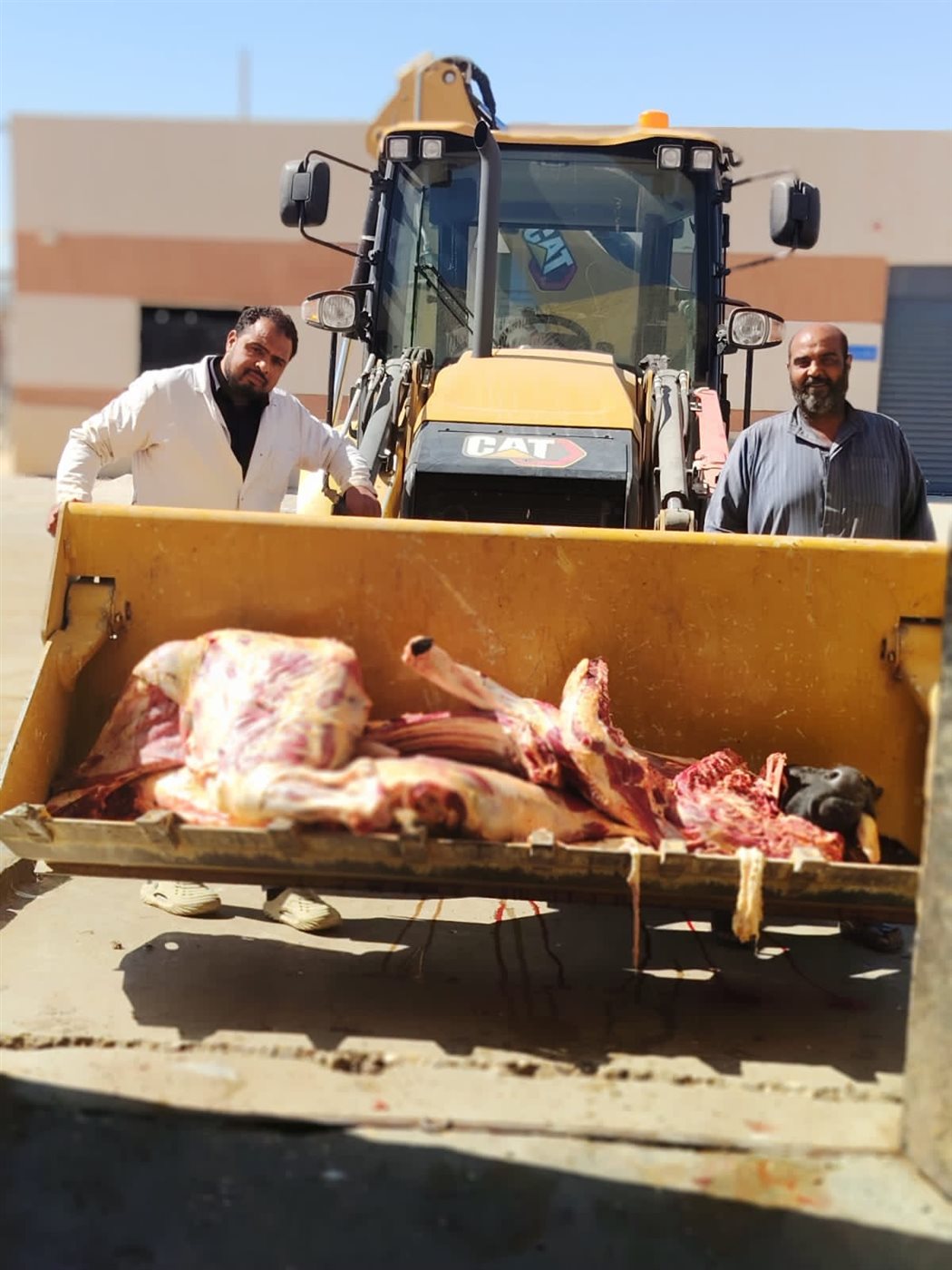 إعدام عجل وزنه 600 كجم بمجزر الحبيل