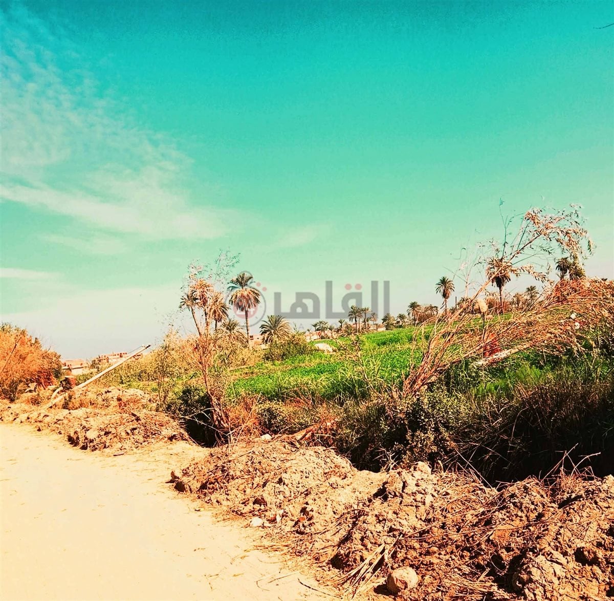  أعمدة إنارة متساقطة بالأرض 