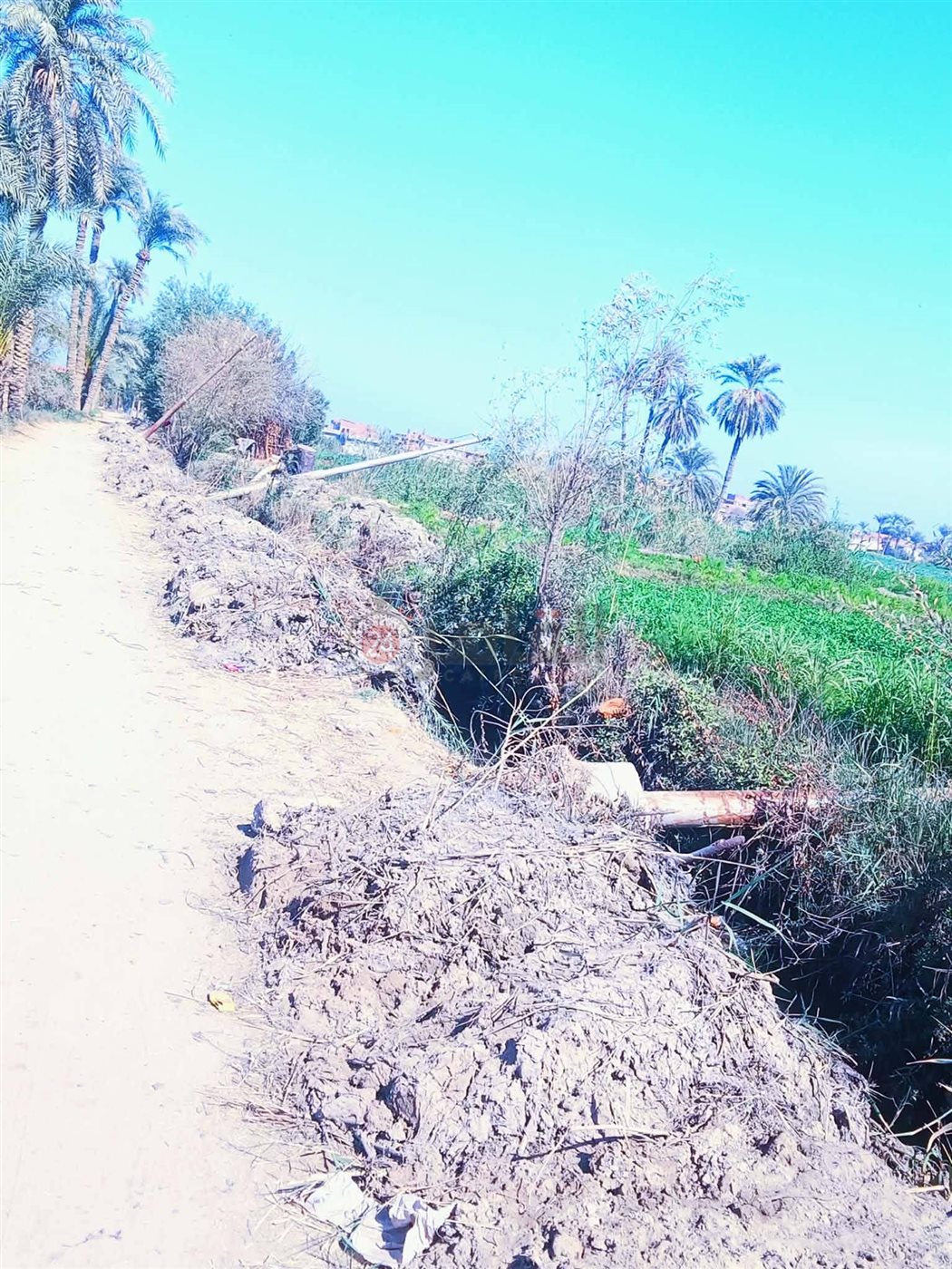  أعمدة إنارة متساقطة بالأرض 