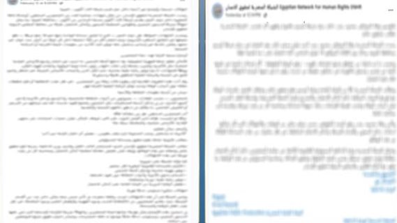 جانب من المنشور