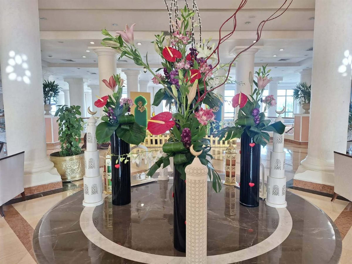 فنادق شرم الشيخ 