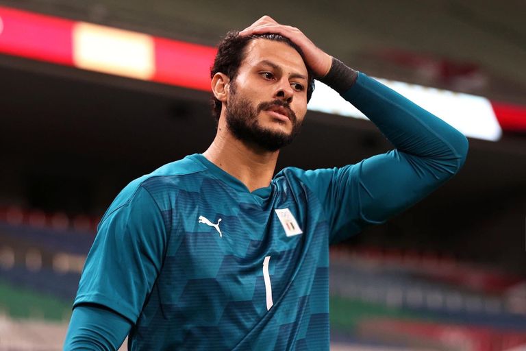 <strong>محمد الشناوي</strong>