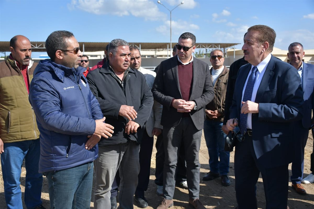 محطة تسمين الماشية ببورسعيد 