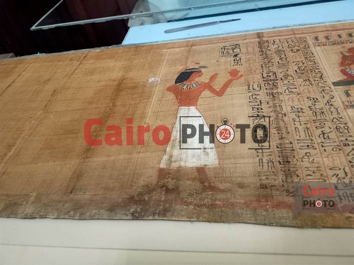 الصور الأولى لبردية الكاتب أوسر حات مس&nbsp;