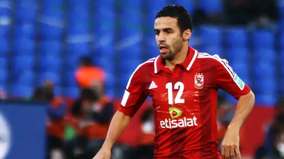 <strong>أحمد شديد قناوي</strong>