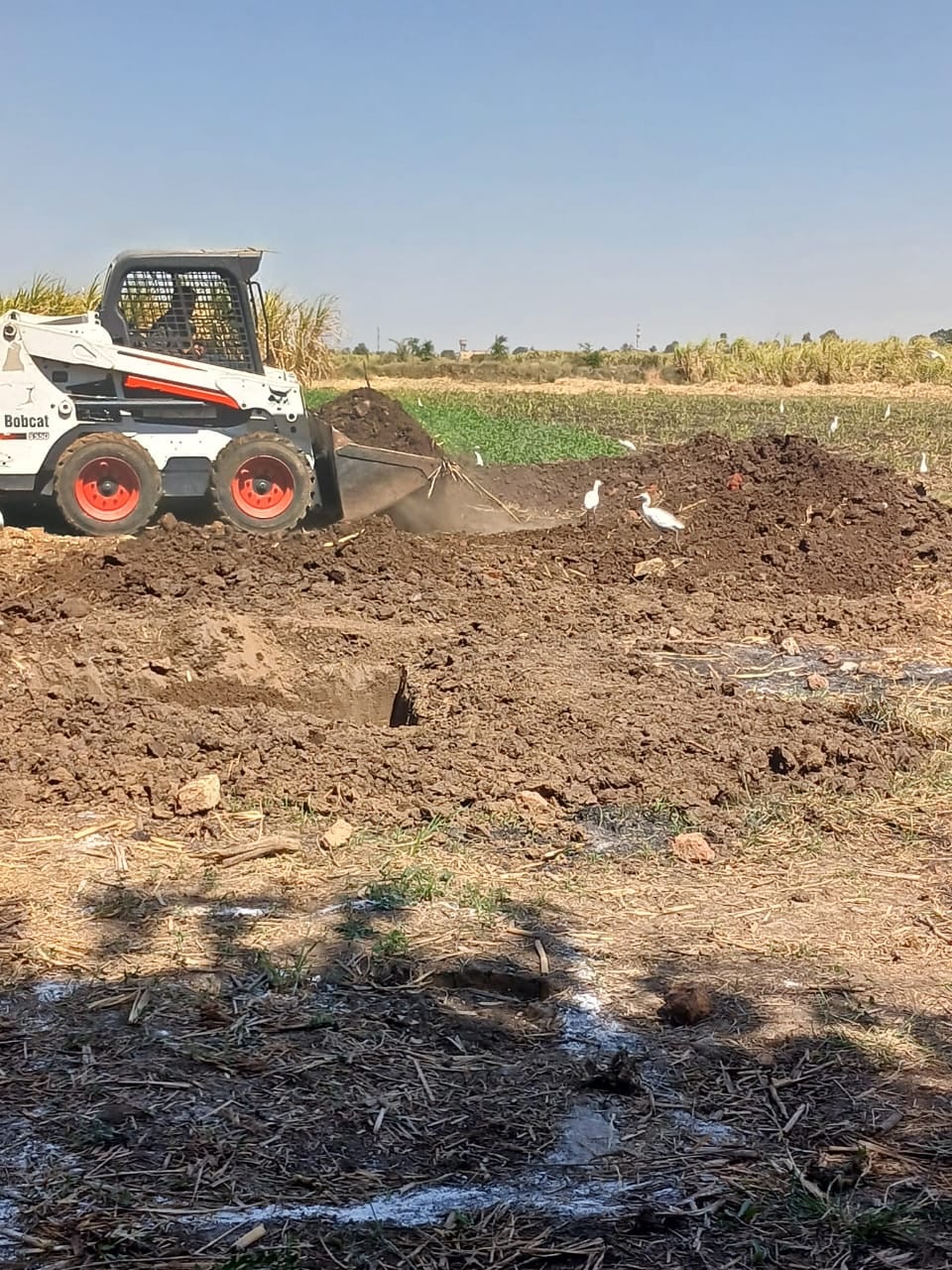 إزالة تعديات على الأراضي الزراعية&nbsp;