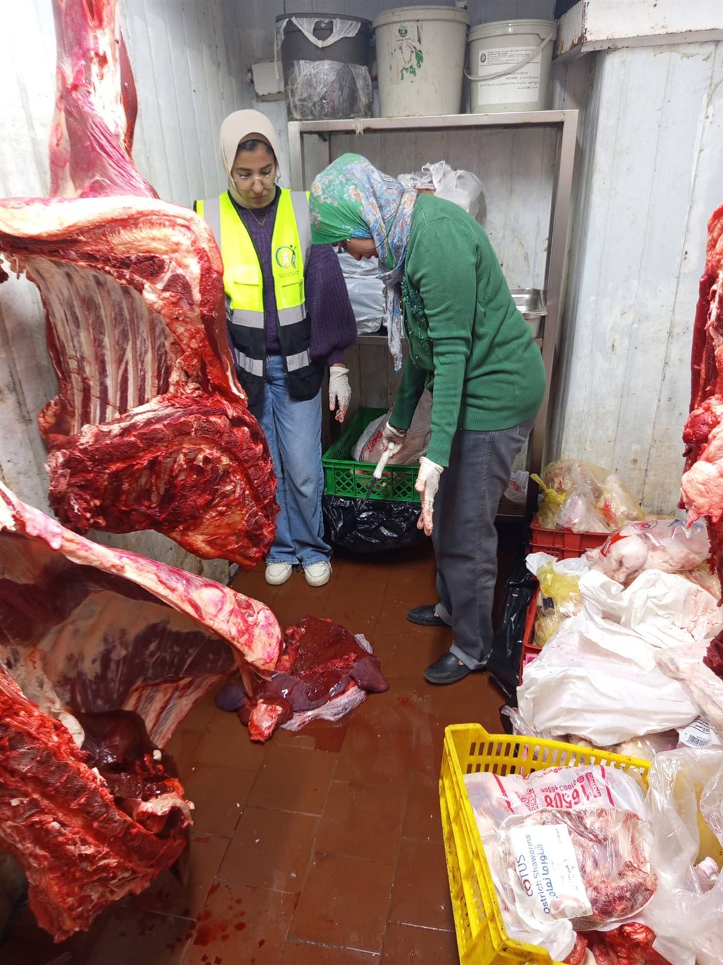 حملة للطب البيطري بالأقصر&nbsp;