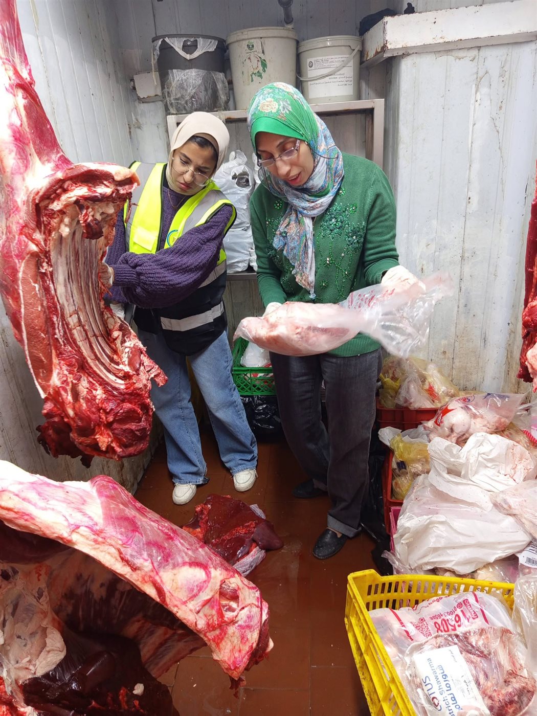 حملة للطب البيطري بالأقصر&nbsp;