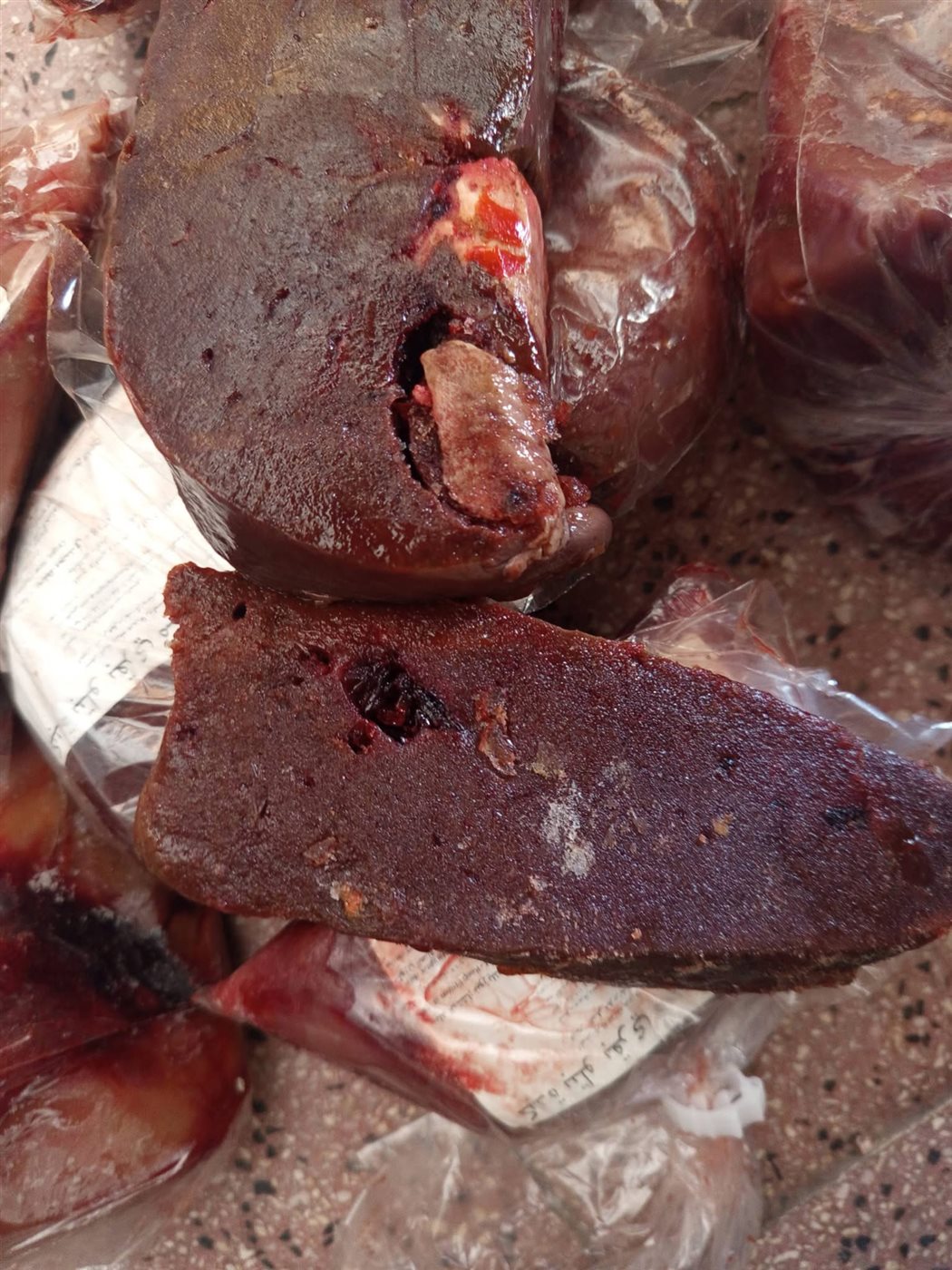 حملة للطب البيطري بالأقصر&nbsp;