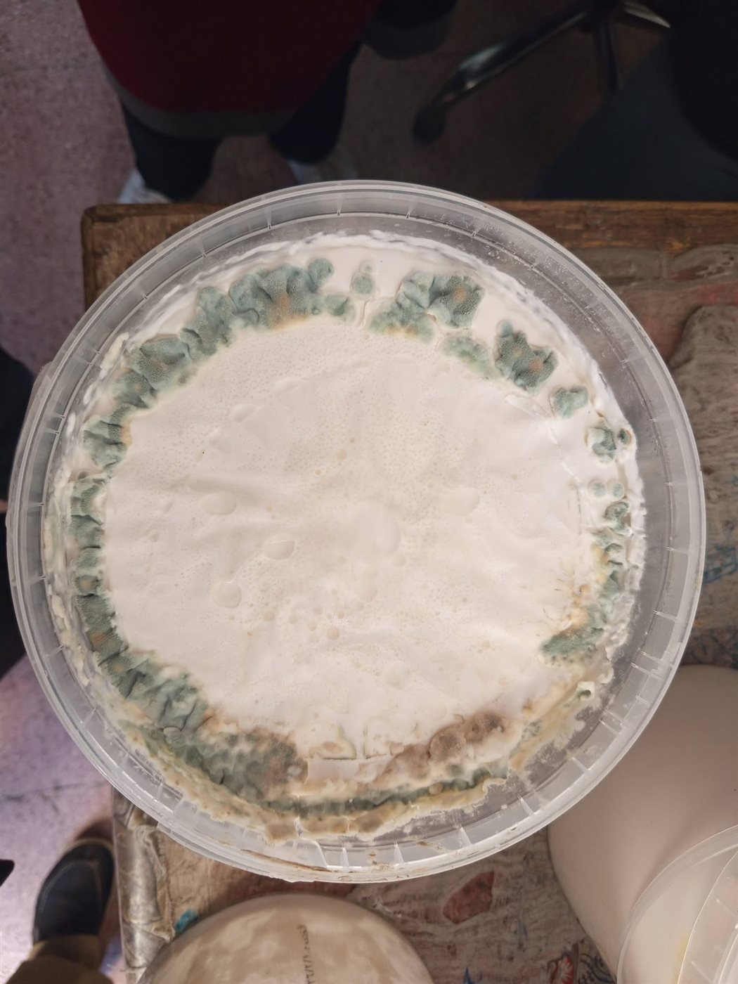 حملة للطب البيطري بالأقصر&nbsp;
