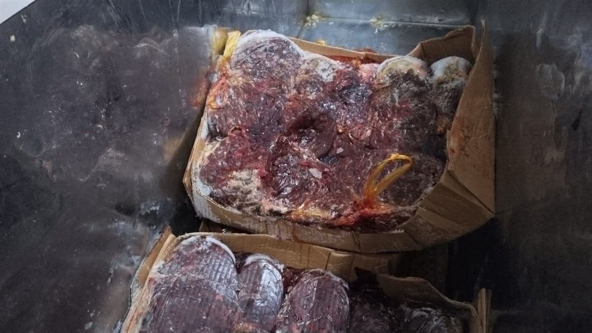 ضبط كبدة فاسدة داخل أحد مطاعم نجع حمادي&nbsp;