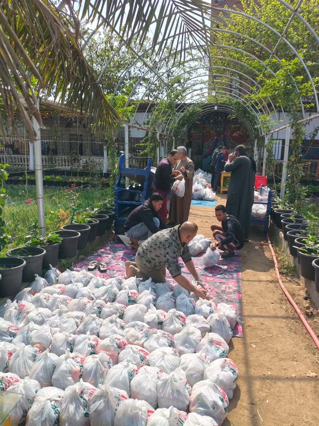 شباب الخير بساقية أبو شعرة في المنوفية يجهزون 1000 وجبة و1.5 طن سمك لإفطار الصائمين