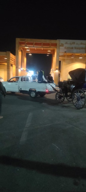 حملات على عربات الحنطور المخالفة بالأقصر&nbsp;