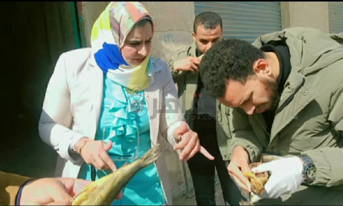 جانب من الحملات