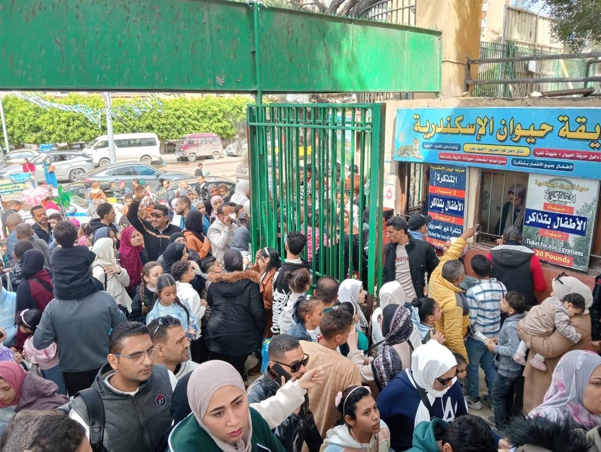 الزراعة: 127 ألف زائر استقبلتهم حدائق الحيوان الأقليمية بالمحافظات والأسماك بالزمالك